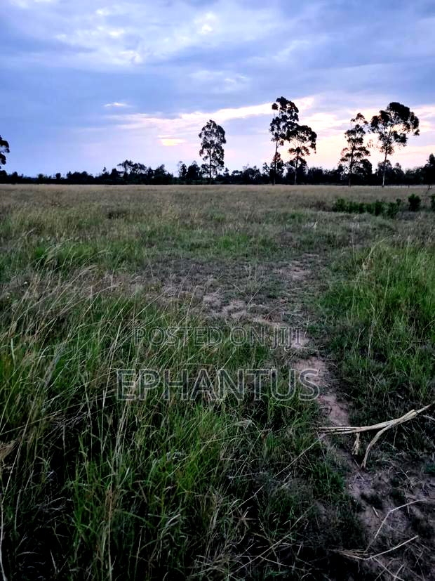 3.2 Acres Narumoru at Per Acre