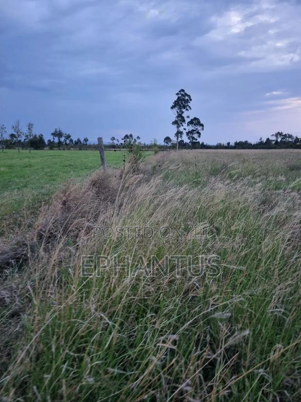 3.2 Acres Narumoru at Per Acre