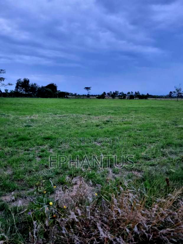 3.2 Acres Narumoru at Per Acre