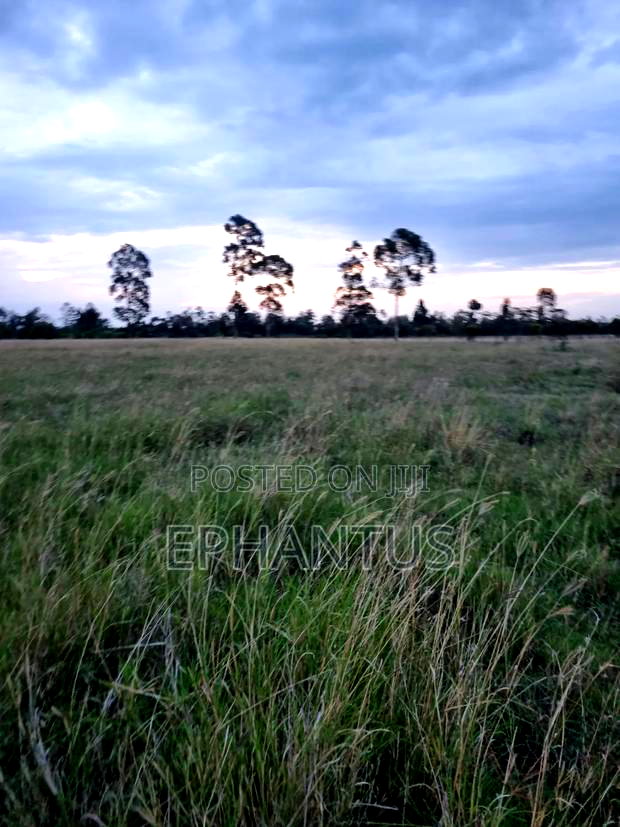 3.2 Acres Narumoru at Per Acre