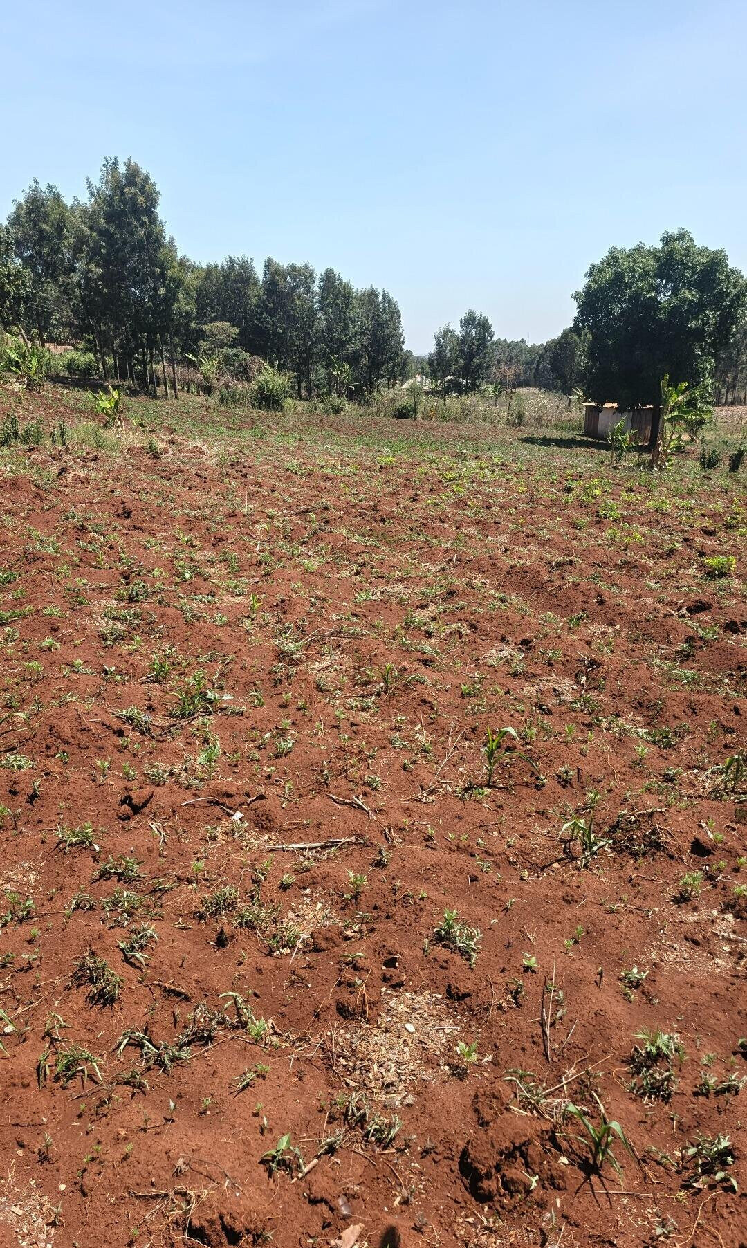 KSh 6.5M Gated Community Plot