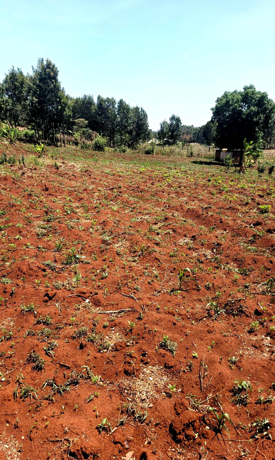 KSh 6.5M Gated Community Plot