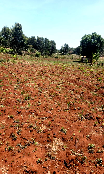 KSh 6.5M Gated Community Plot