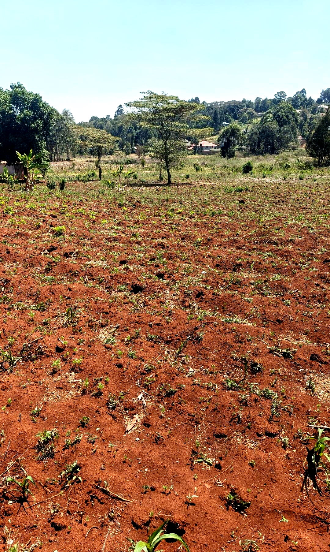 KSh 6.5M Gated Community Plot