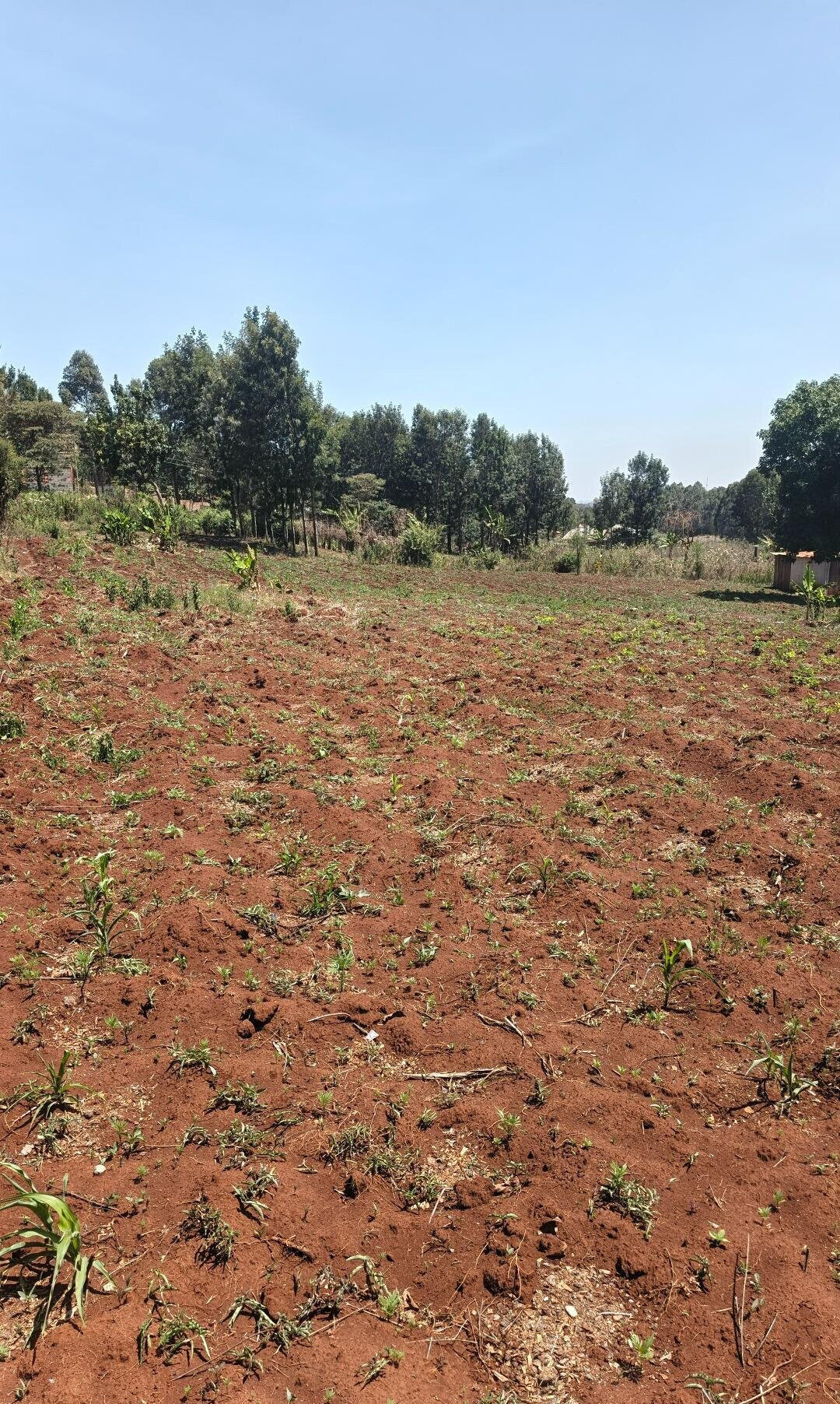 KSh 6.5M Gated Community Plot