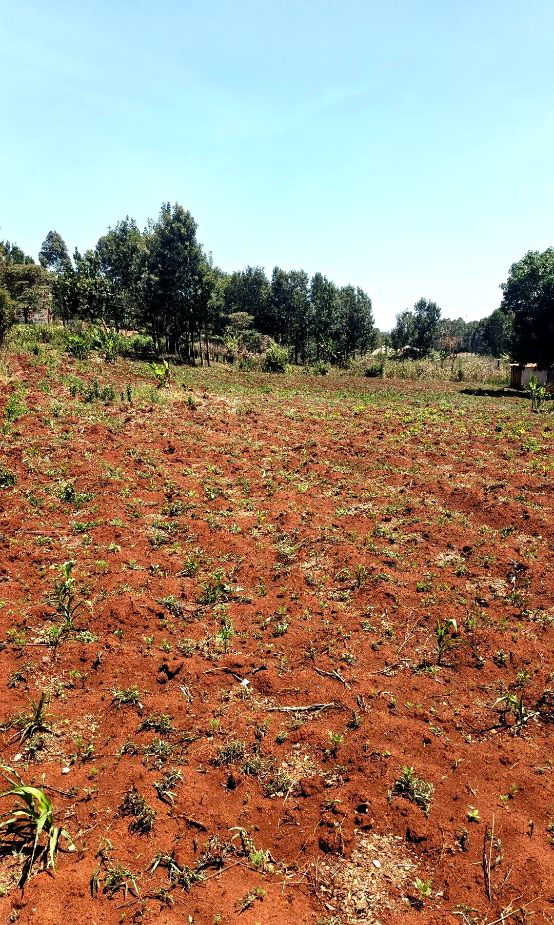 KSh 6.5M Gated Community Plot