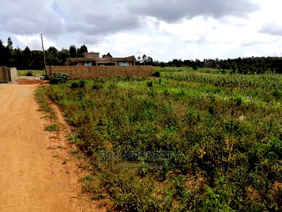 Prime Plot for Sale in Lusigetti.(500 Meters Off Tarmac) - Image 11