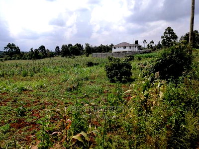 Prime Plot for Sale in Lusigetti.(500 Meters Off Tarmac) - Image 10