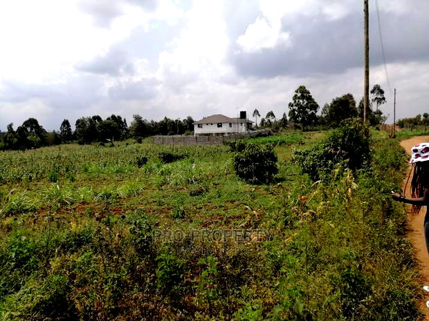 Prime Plot for Sale in Lusigetti.(500 Meters Off Tarmac)