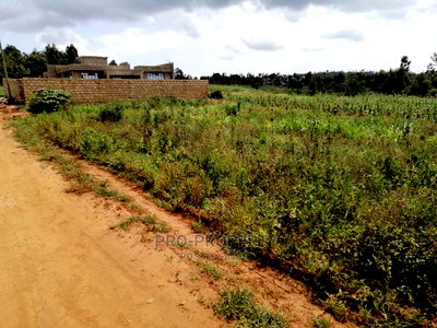 Prime Plot for Sale in Lusigetti.(500 Meters Off Tarmac) - Image 7