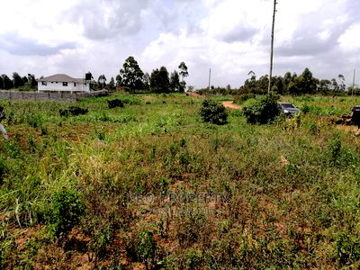 Prime Plot for Sale in Lusigetti.(500 Meters Off Tarmac) - Image 17