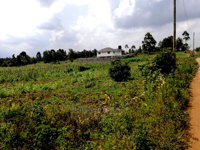 Prime Plot for Sale in Lusigetti.(500 Meters Off Tarmac) - Image 14