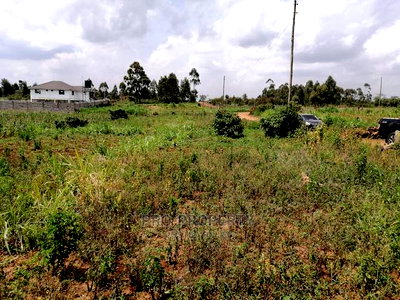 Prime Plot for Sale in Lusigetti.(500 Meters Off Tarmac) - Image 16
