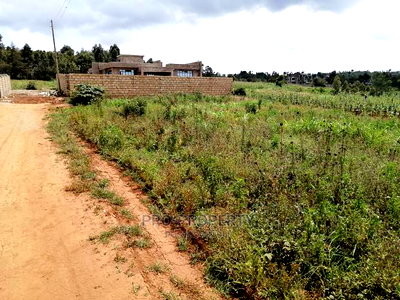 Prime Plot for Sale in Lusigetti.(500 Meters Off Tarmac) - Image 15