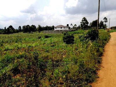 Prime Plot for Sale in Lusigetti.(500 Meters Off Tarmac) - Image 9