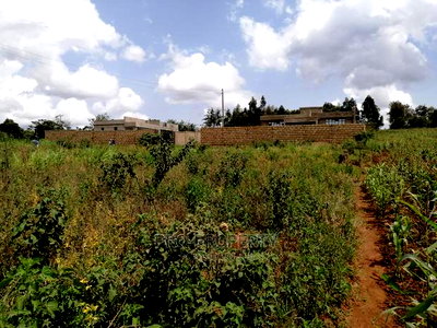 Prime Plot for Sale in Lusigetti.(500 Meters Off Tarmac) - Image 12