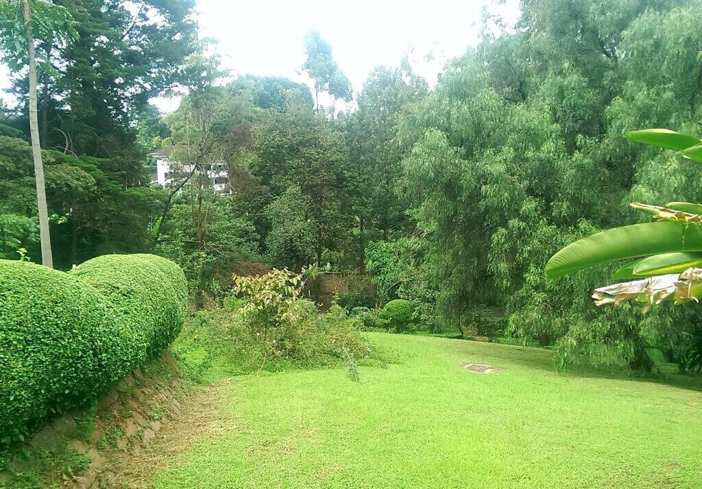 1.3 Acre Lavington Gem at KSh 250M