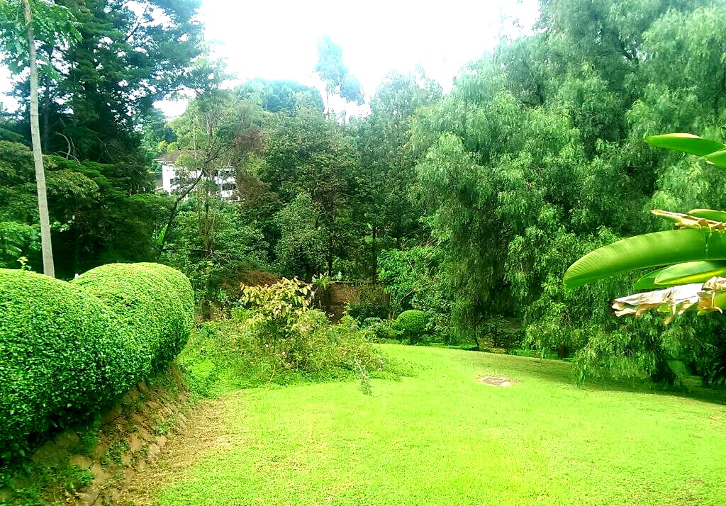 1.3 Acre Lavington Gem at KSh 250M