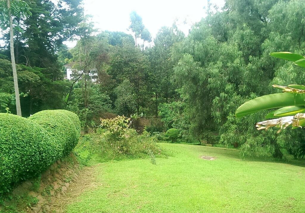 1.3 Acre Lavington Gem at KSh 250M