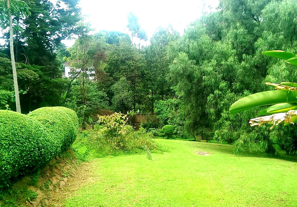 1.3 Acre Lavington Gem at KSh 250M
