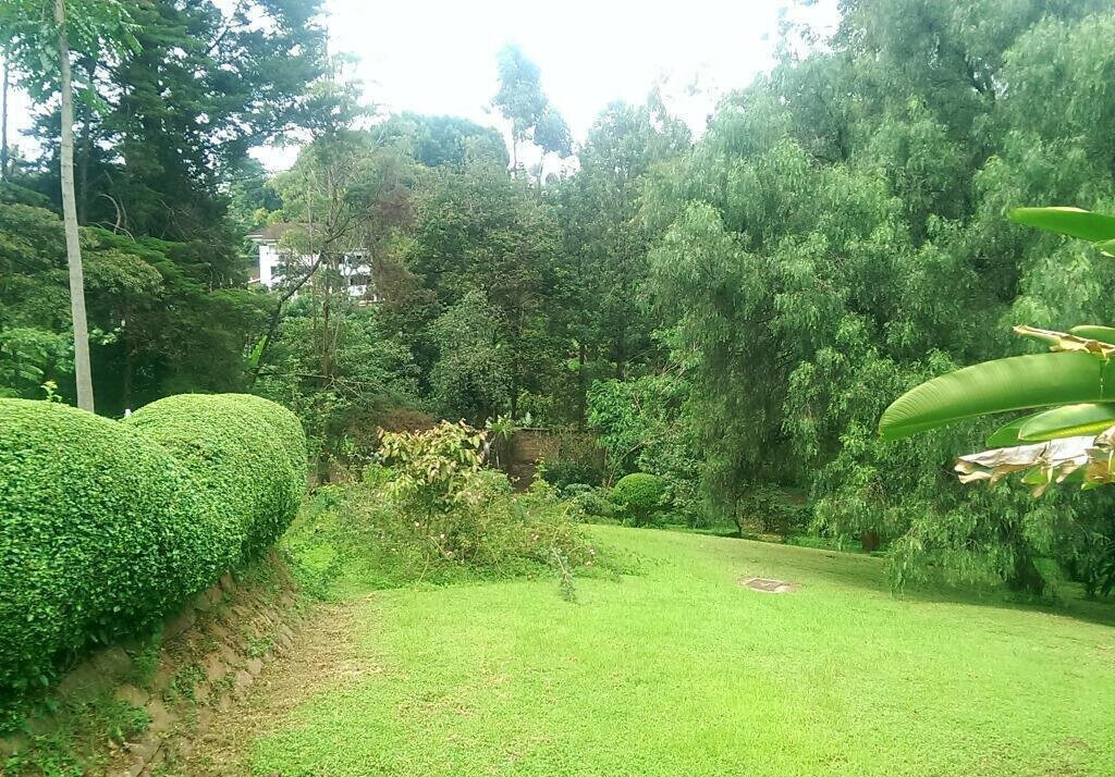 1.3 Acre Lavington Gem at KSh 250M
