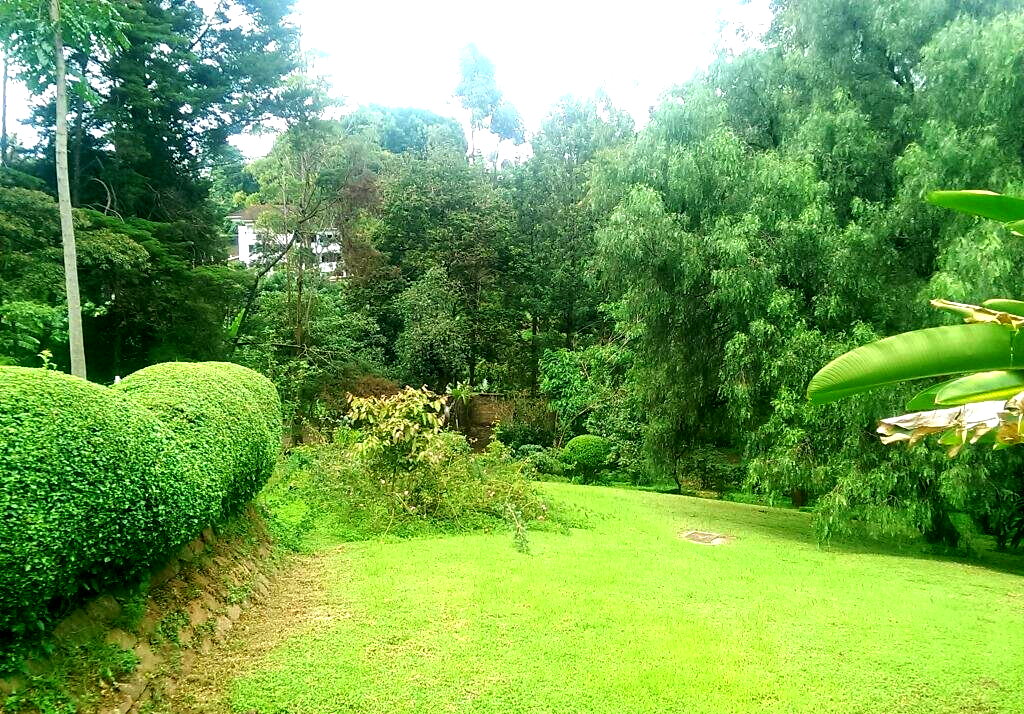 1.3 Acre Lavington Gem at KSh 250M