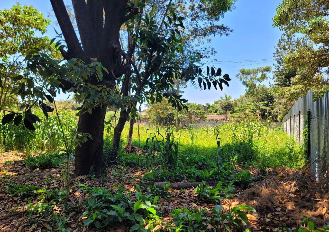 1-Acre Langata Plot for Sale