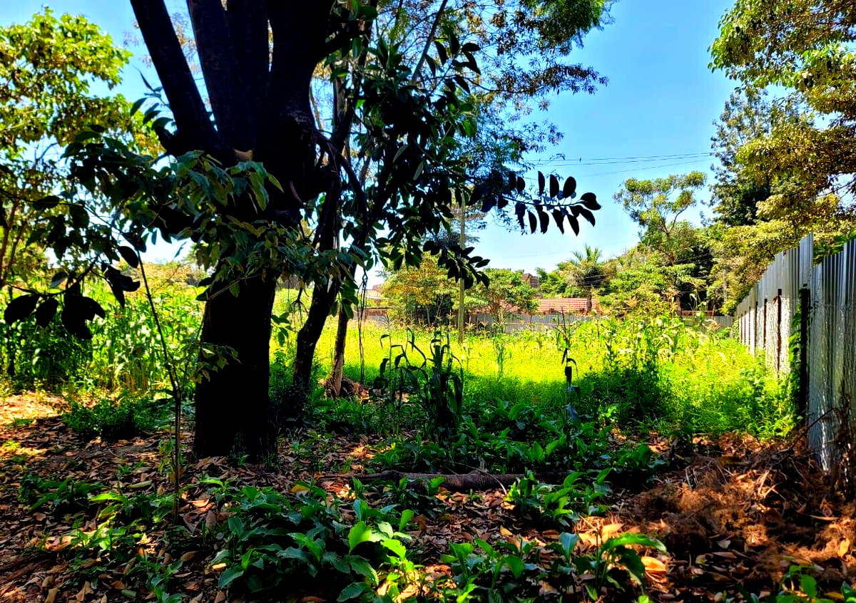 1-Acre Langata Plot for Sale
