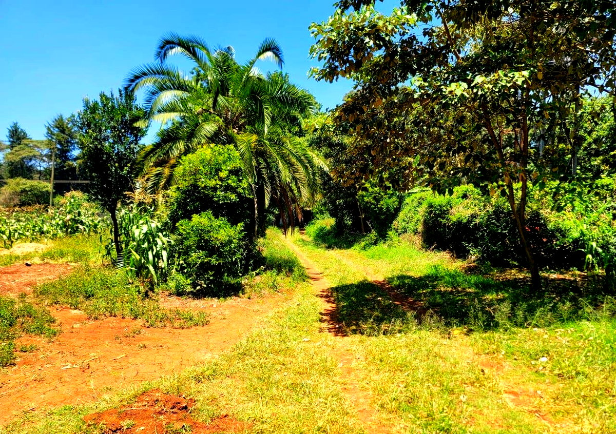 1-Acre Langata Plot for Sale