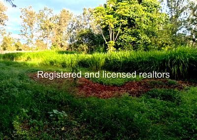 1.1-Acre Garden Plot in Karen