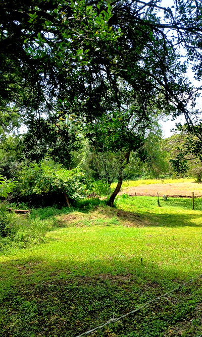 5-Acre Karen Gem at KSh 40M
