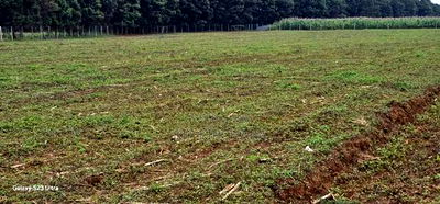 Commercial Plots for Sake in Annex Eldoret - Image 2