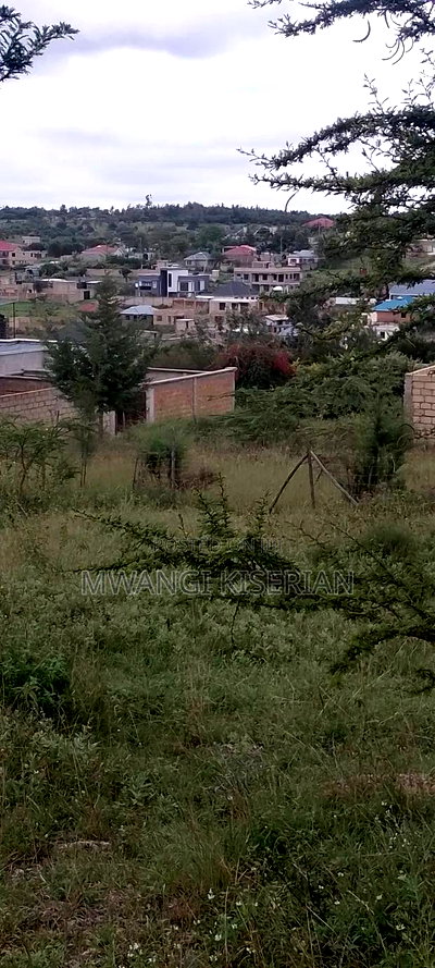 1/4 Acre for Sale in Kiserian Gp - Image 7