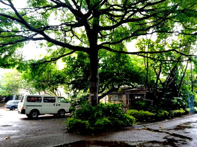 Lavington Prime 1.2A Plot for Sale - Image 1