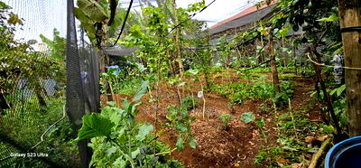 3bdrm House in Annex, Racecourse for sale - Image 3