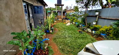 3bdrm House in Annex, Racecourse for sale - Image 4