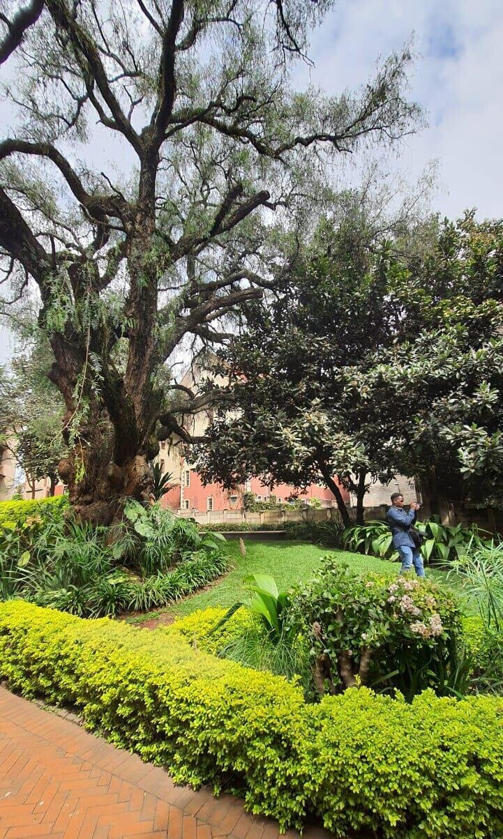 77.4-Acre Land in Nairobi