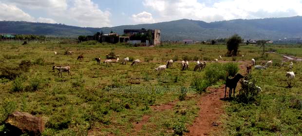2 Parcels of Quarter Acres for Sale in Ngong Kimuka Town