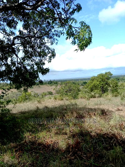 For Sale 2 Acre Land Tiwi in Kwale - Image 4