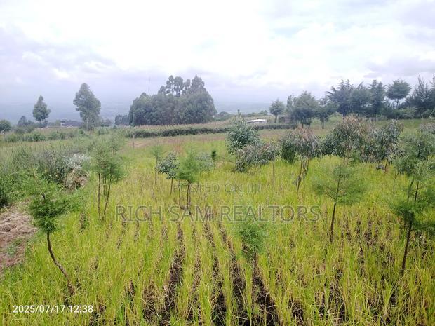Plot on Sale Olivin Mololine