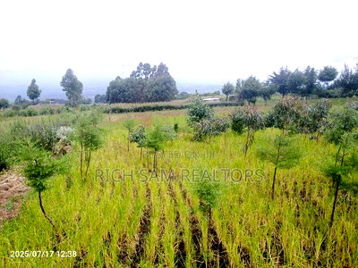 Plot on Sale Olivin Mololine - Image 5