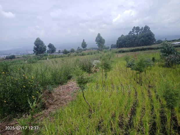 Plot on Sale Olivin Mololine