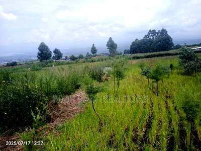 Plot on Sale Olivin Mololine - Image 6