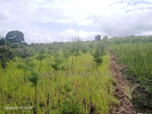 Plot on Sale Olivin Mololine