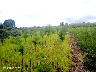 Plot on Sale Olivin Mololine - Image 7