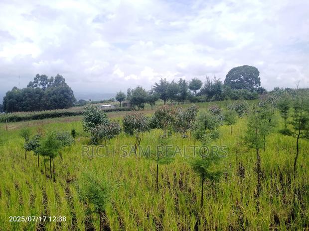 Plot on Sale Olivin Mololine