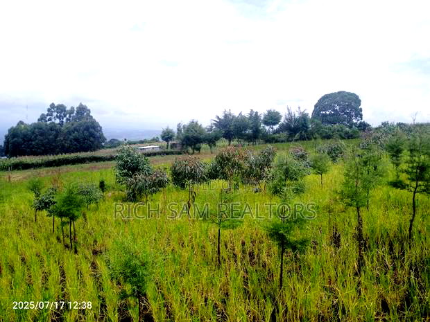 Plot on Sale Olivin Mololine