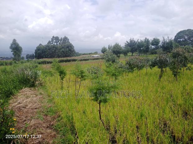 Plot on Sale Olivin Mololine