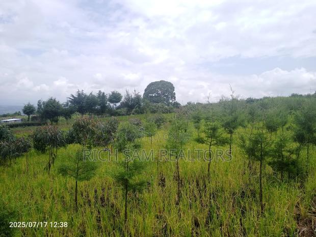 Plot on Sale Olivin Mololine