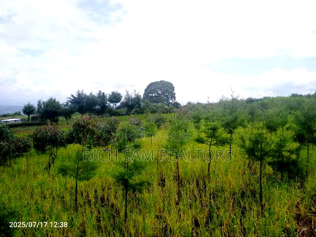 Plot on Sale Olivin Mololine